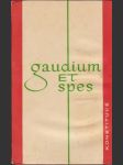 Gaudium et spes - náhled