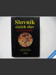 Slovník cizích slov pro nové století 2005 - náhled