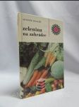 Zelenina na zahrádce - náhled