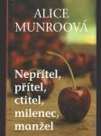 Nepřítel, přítel, ctitel, milenec, manžel  - náhled