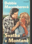Svatba v Montaně - náhled