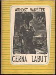 Černá labuť - náhled