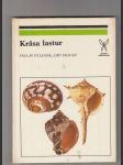 Krása lastur - náhled