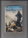 Na vrcholu Mount Everestu - náhled
