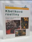 Kbelíkové rostliny: Rostliny pro balkony, terasy, střešní zahrady - náhled