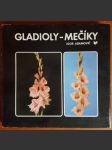 Gladioly - mečíky (veľký formát) - náhled