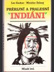 Prérijní a pralesní indiáni - náhled