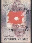 Výstrel v hmle - náhled