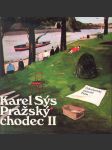 Pražský chodec II - náhled