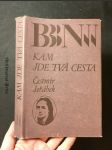 Kam jde tvá cesta: [román o Boženě Němcové] - náhled