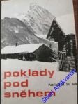 Poklady pod sněhem - john patricia st. - náhled