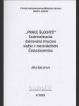 "Práce šlechtí!" - Sudetoněmecká dobrovolná pracovní služba v meziválečném Československu - náhled
