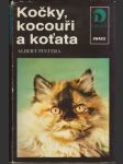 Kočky, kocouři a koťata - náhled