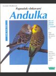 Papoušek vlnkovaný andulka - jak na to - náhled