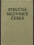 Stručná  mluvnice  česká - náhled