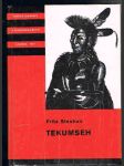 Tekumseh - i. díl - náhled