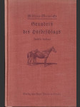 Grundriss des Hufbeschlags. - náhled