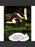 Jak nemít na pikniku o jeden sendvič míň (biografie, Anglie) - náhled