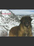 Dogs H-Z (veľký formát) - náhled