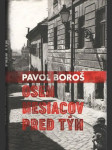 Osem mesiacov pred tým - náhled