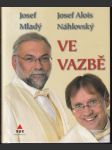 Ve vazbě - náhled