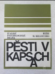 Pěsti v kapsách - náhled