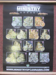 Ministry of Cannabis 2 - náhled