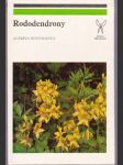 Rododendrony - náhled