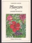 Pflanzen in unserer Wohnung - náhled