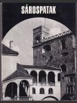 Sárospatak - náhled
