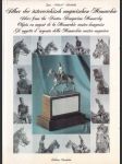 Silber der őstrreichisch-ungarischen Monarchie (veľký formát) - náhled