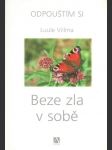 Odpouštím si: Beze zla v sobě    - náhled