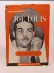 Joe Louis - náhled