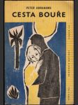 Cesta bouře - náhled