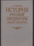 История русской литературы конца XIX века - начала XX. века - náhled