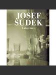 Josef Sudek - Labyrinty HOL - náhled