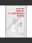 Srdce v labyrintu světa - náhled