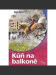 Kůň na balkoně (román, koně) - náhled