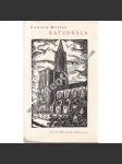 Katedrála (edice: Atlantis, sv. 67) [novela, ilustrace Michael Florian] - náhled