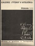 Galerie Týdny v ateliéru - náhled