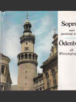 Sopron mint gazdasági partner Ödenburg als Wirtschaftspartner - náhled