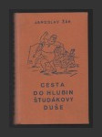 Cesta do hlubin študákovy duše - náhled