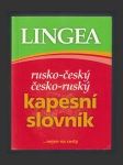 Rusko-český a česko-ruský kapesní slovník - náhled