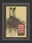 Kořeny planých rostlin - náhled