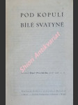 Pod kopulí bílé svatyně - svazek i. - procházka emil - náhled