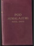 Pod Himalajemi Nová indie - náhled