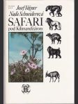 Safari pod Kilimandžárom (veľký formát) - náhled