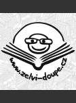 Na háku vision days - náhled