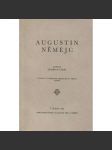 Augustin Němejc [český malíř, žijíci v Plzni] - náhled