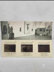 Alšova Jihočeská galerie - náhled